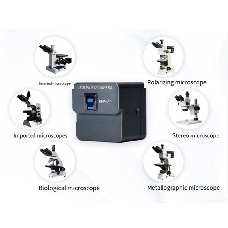 AED7-IMX microscópio câmera uv - 4K Microscope Camera Sony Sensor avaliação e preço